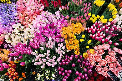 冒险动作游戏《格斗骑士》 将于11月30日发售